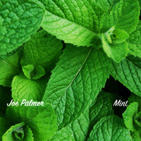Joe Palmer - Mint