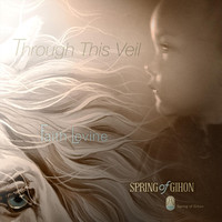Faith Levine - Through This Veil