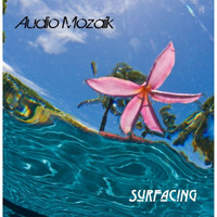 Audio Mozaik - Surfacing