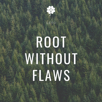 Leto - Root Without Flaws