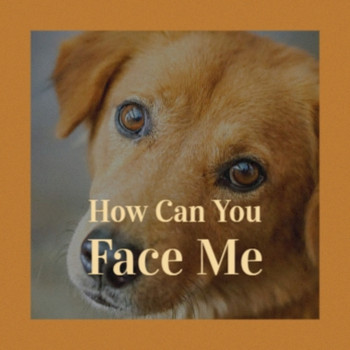 Various Artists - How Can You Face Me