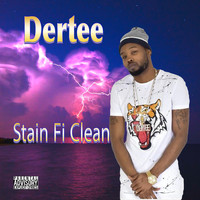 DERTEE / - Stain Fi Clean