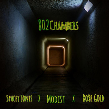 Spacey Jones, Modest & Ro$e Gold - 802 Chambers (Explicit)