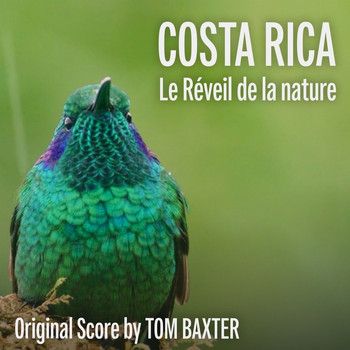 Tom Baxter - Costa Rica : Le réveil de la nature (Original Score)