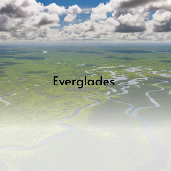 Various Artists - Everglades