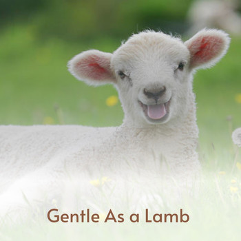 Various Artists - Gentle as a Lamb