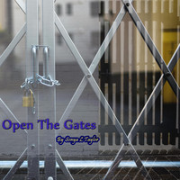 Sonya L Taylor - Open the Gates