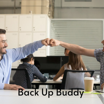 Various Artists - Back up Buddy