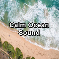 Ocean Waves Sleep Aid - Calm Ocean Sound