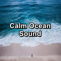 Water Soundscapes - Calm Ocean Sound