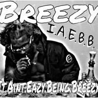 Breezy - It Aint Easy Being Breezy (Explicit)
