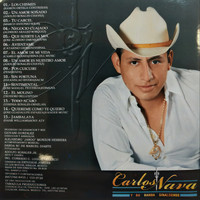 Carlos Nava - Un Amor Soñado
