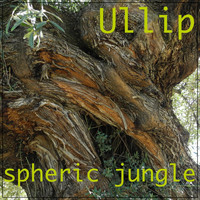 Ullip - Spheric Jungle