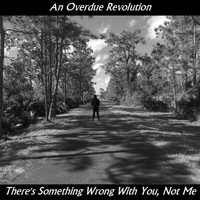 An Overdue Revolution - There's Something Wrong with You, Not Me (Explicit)