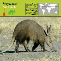 Stuyvesant - Aardvark