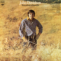 John Davidson - Everything Is Beautiful