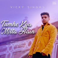 Vicky Singh - Tumhe Kya Milta Hain