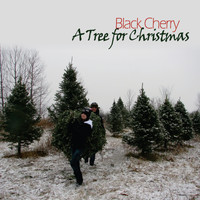 Black Cherry - A Tree for Christmas