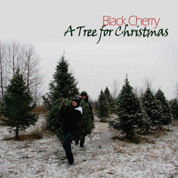Black Cherry - A Tree for Christmas