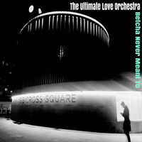 The Ultimate Love Orchestra / - Betcha Never Meant to