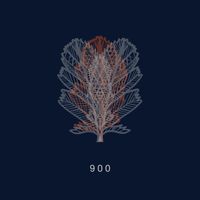 Markus Perttula - 900