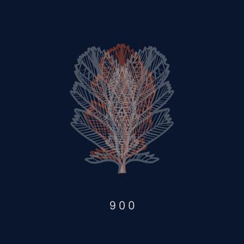 Markus Perttula - 900