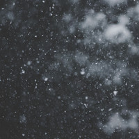 Stargazer - Under the Snow