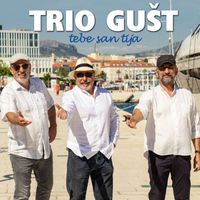 Trio Gušt - Tebe San Tija