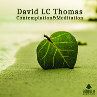 DAVID LC THOMAS - Contemplation & Meditation