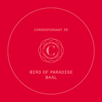 Bird of Paradise - Baal