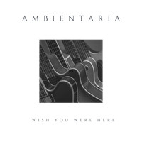 Ambientaria / - Wish You Were Here