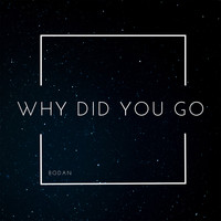 Bodan / - Why Did You Go