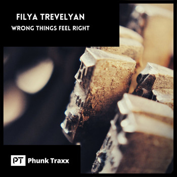 Filya Trevelyan - Wrong Things Feel Right (Explicit)