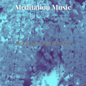Meditation Music - Feelings for Prana