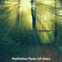 Meditation Music All-stars - Feelings for Deep Meditation
