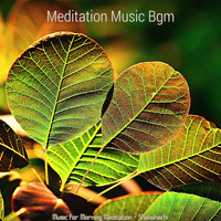 Meditation Music Bgm - Music for Morning Meditation - Shakuhachi
