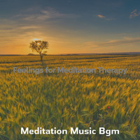 Meditation Music Bgm - Feelings for Meditation Therapy