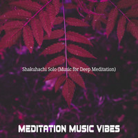 Meditation Music Vibes - Shakuhachi Solo (Music for Deep Meditation)