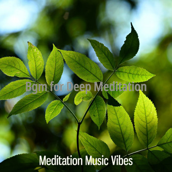 Meditation Music Vibes - Bgm for Deep Meditation