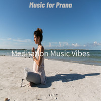 Meditation Music Vibes - Music for Prana