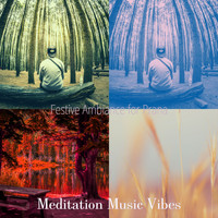 Meditation Music Vibes - Festive Ambiance for Prana