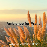 Brilliant Meditation Music - Ambiance for Prana