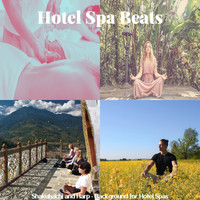 Hotel Spa Beats - Shakuhachi and Harp - Background for Hotel Spas