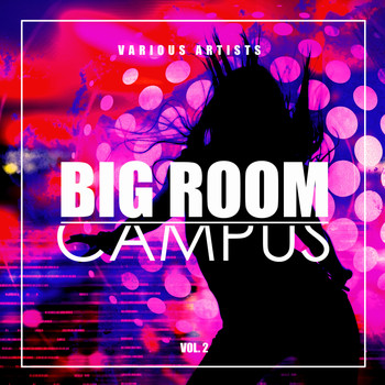 Various Artists - Big Room Campus, Vol. 2