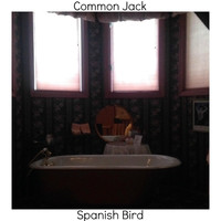 Common Jack - Spanish Bird