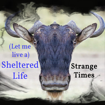 Strange Times - (Let Me Live A) Sheltered Life