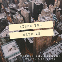 Crisis Mr. Swagger - Since You Hate Me (feat. Lil' Flip & Marko Penn)