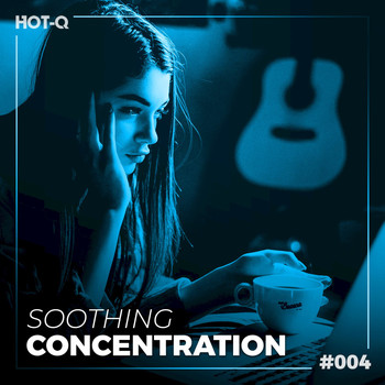 Various Artists - Soothing Concentration 004