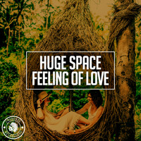 Huge Space - Feeling Of Love