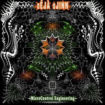 Deja Djinn - MicroControl Engineering